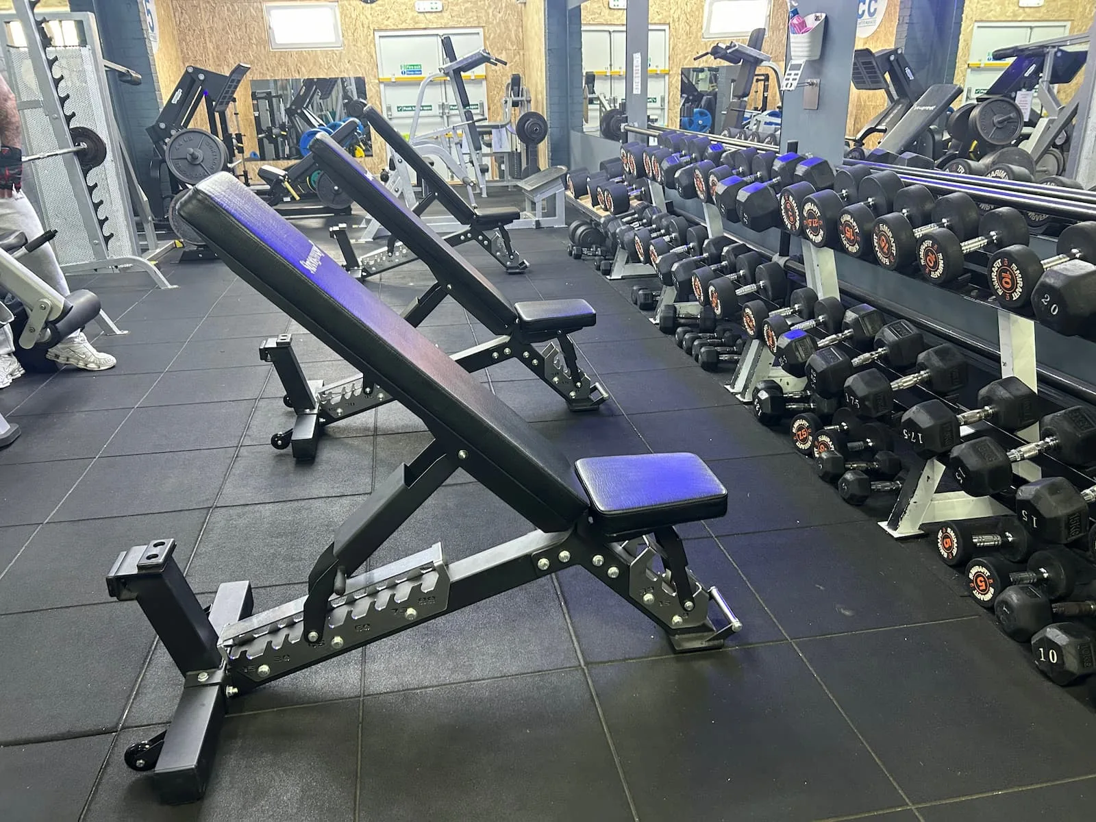 Strongway heavy duty adjustable benches at Gym 55
