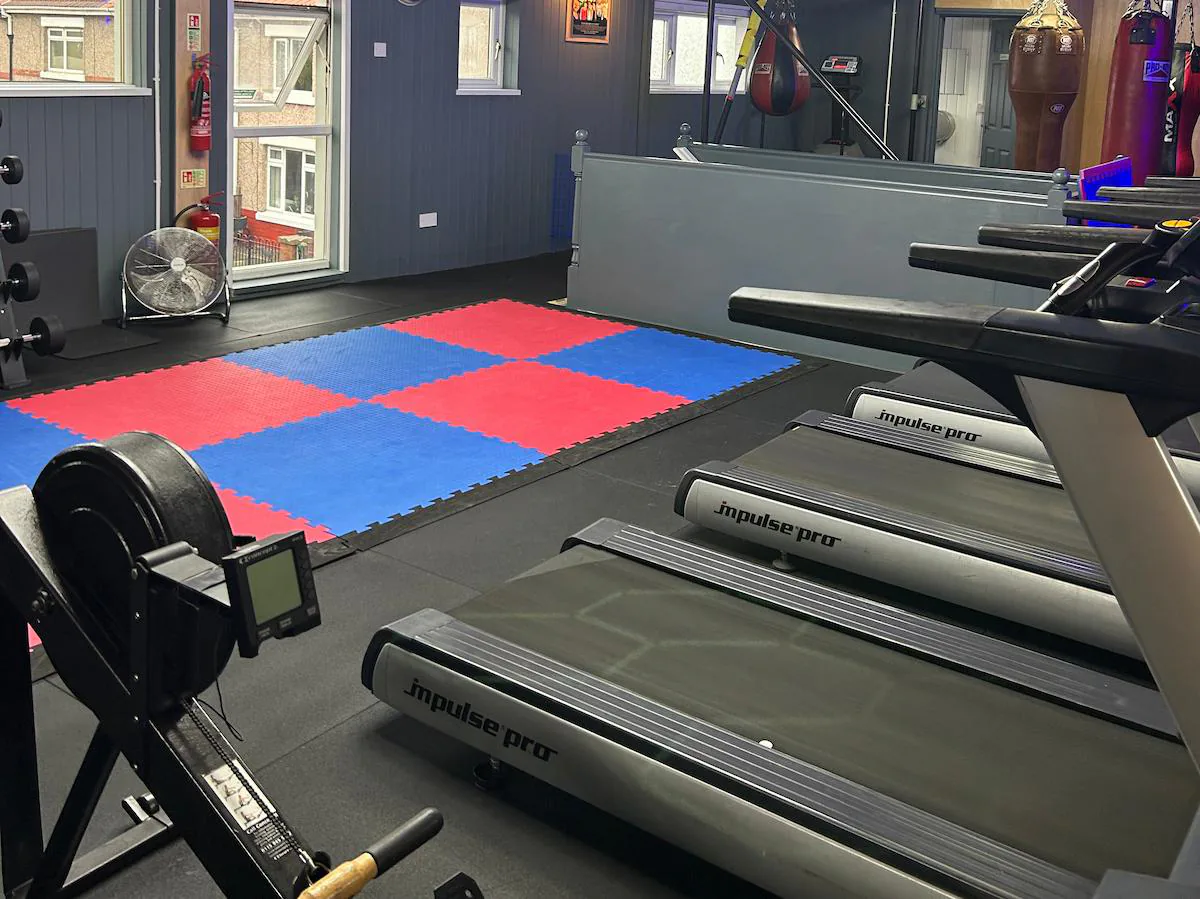 Gym 55 cardio equipment