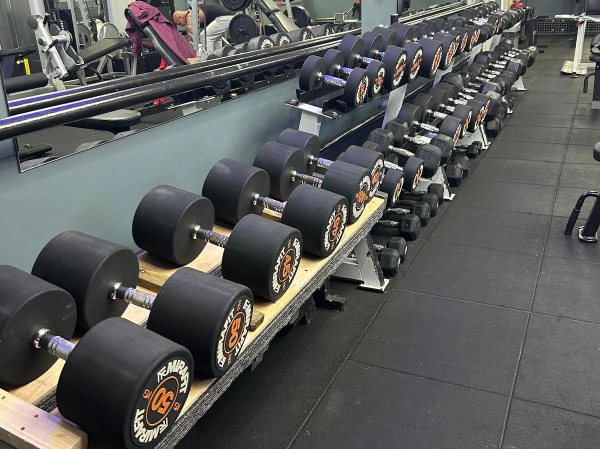 Gym 55 free weights area